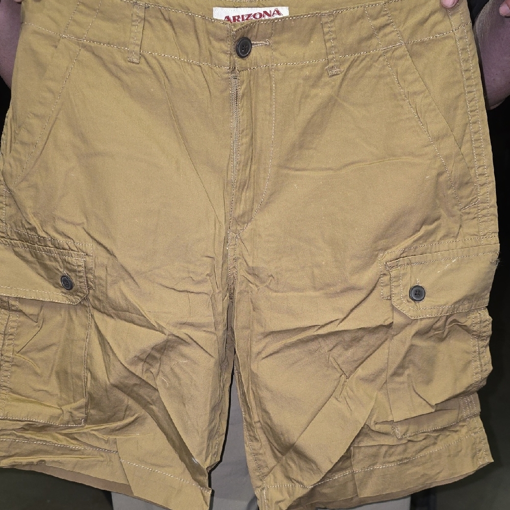 Arizona Jean Company Men's Brown Cargo Shorts